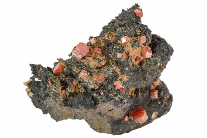 Red Vanadinite Crystals On Manganese Oxide - Morocco #103570